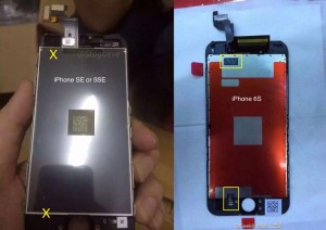 iPhone 5se versus iPhone 6s panel