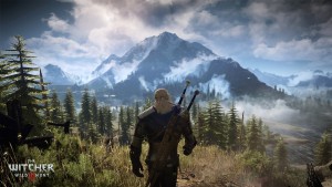 The Witcher