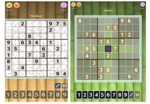 Sudoku-Brainium