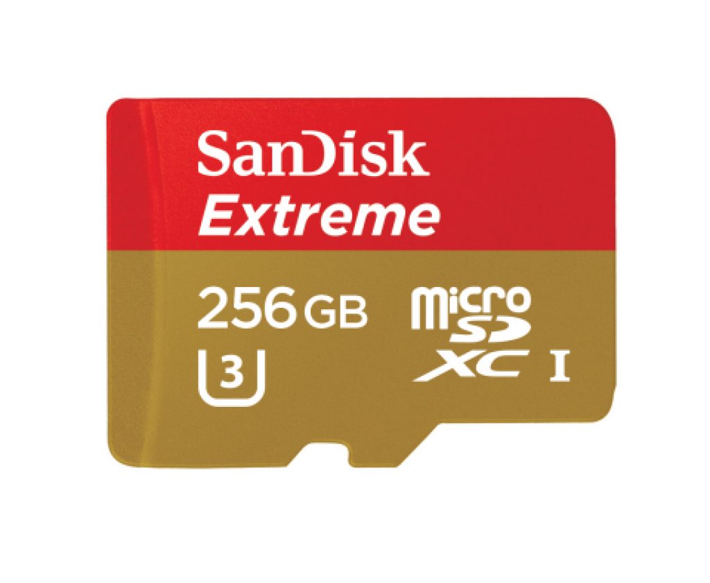 Extreme SanDisk 256GB card