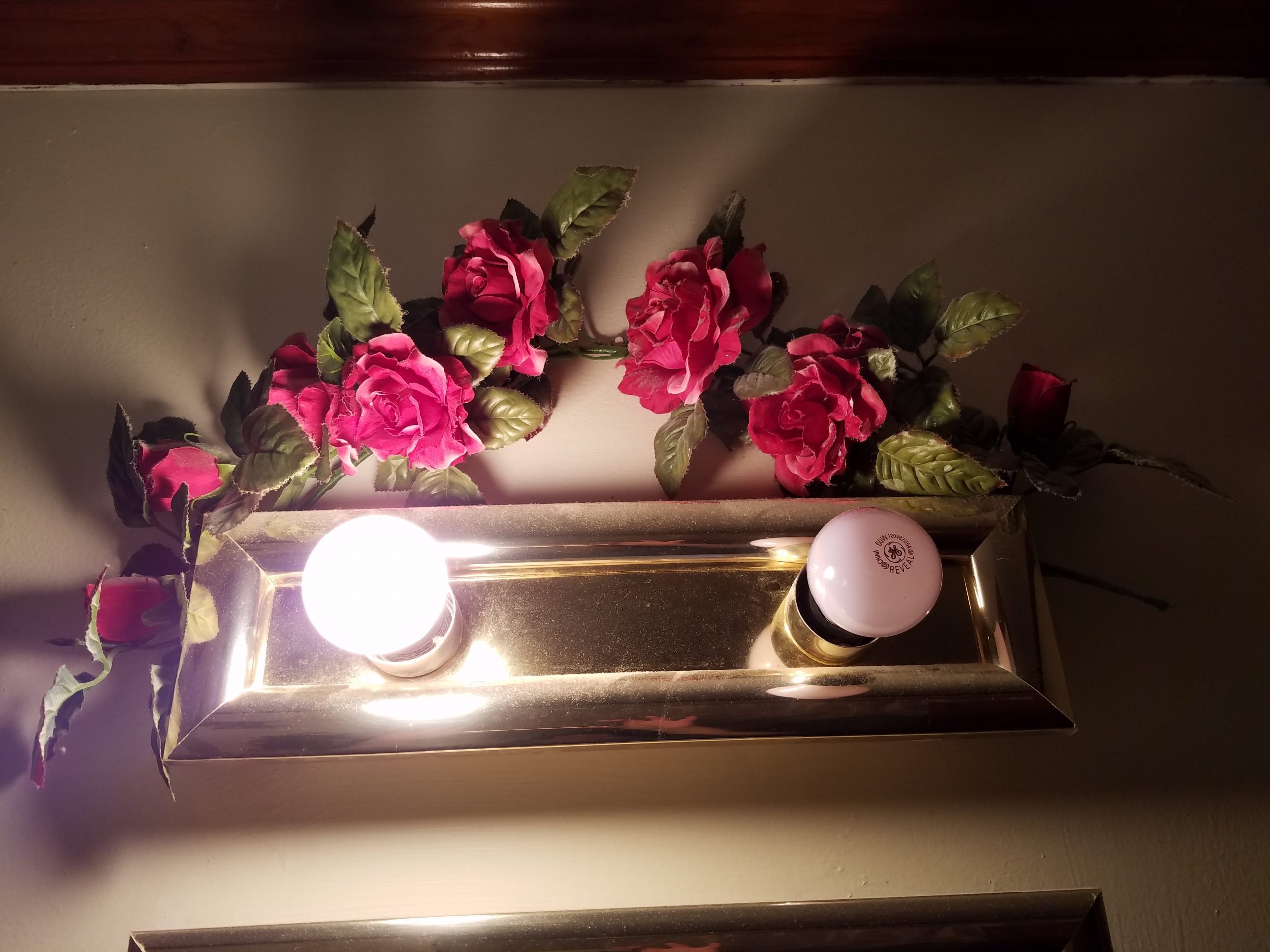 Galaxy S7 edge flowers and light photo vs LG G5