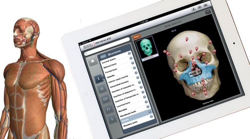 Anatomy apps