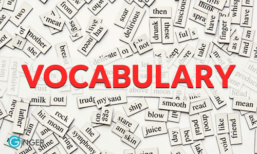 apps to increase vocabulary