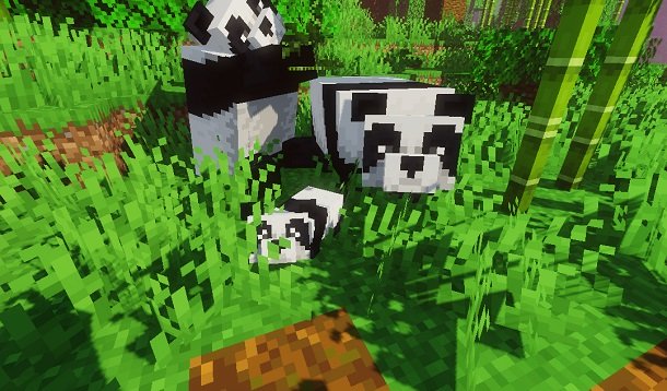 Panda on Minecraft