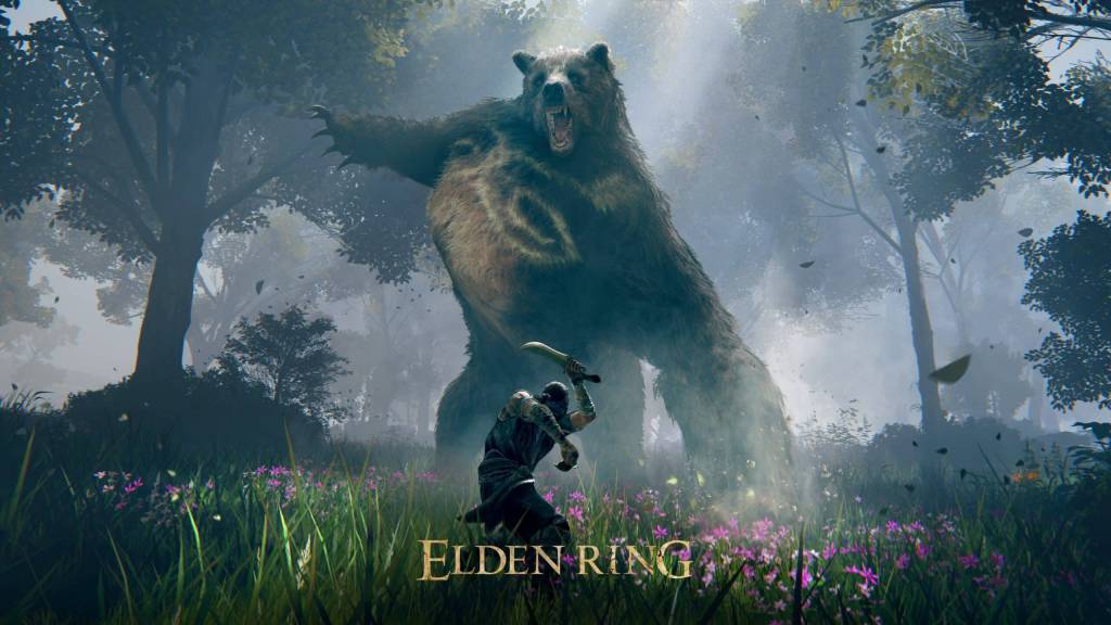 Graphics Card Handle Elden Ring