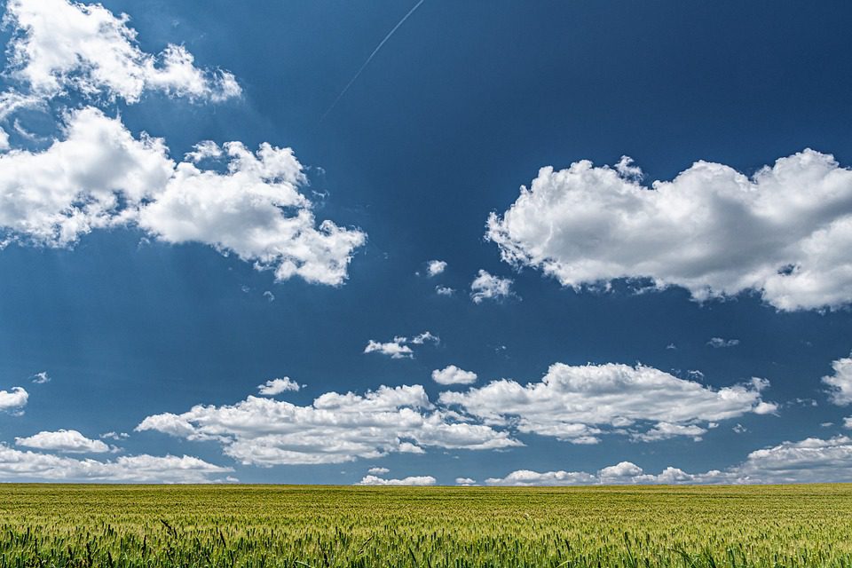 ai in agriculture