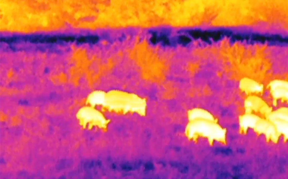 Night vision or thermal scope