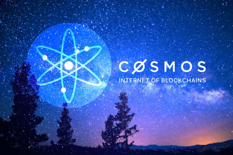 Cosmos
