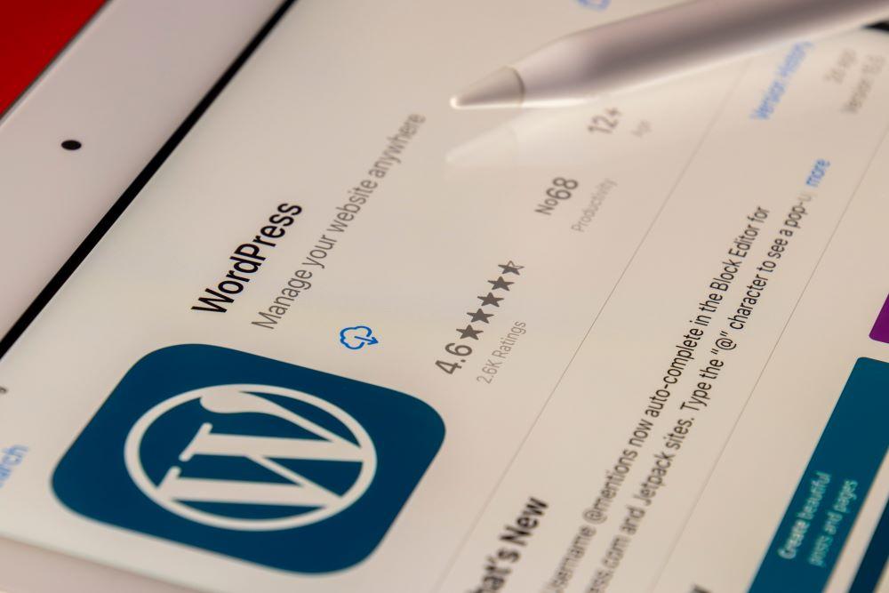Website Design