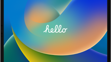 iPad Startup