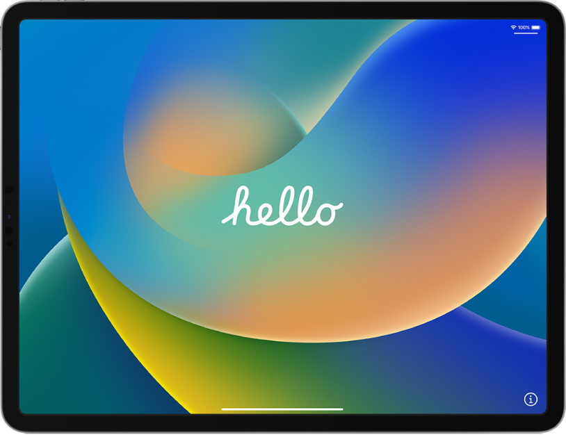 iPad Startup