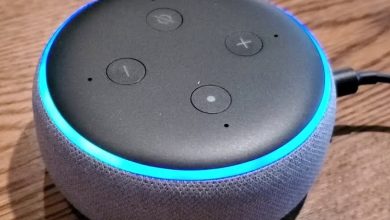 How to make alexa mad