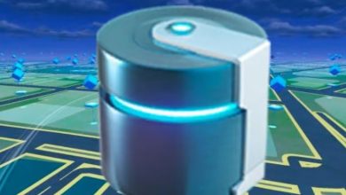 Metal Coat in Pokemon Go